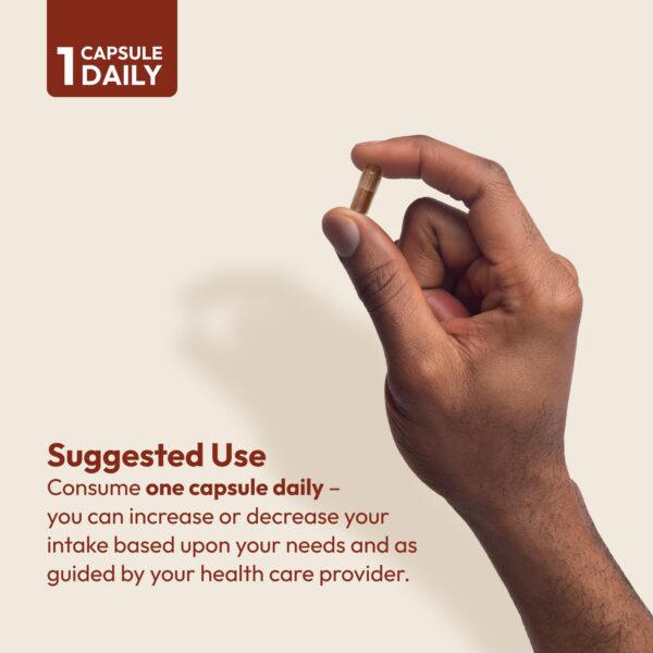 Suplemento natural canela libre de alérgenos Andrew Lessman