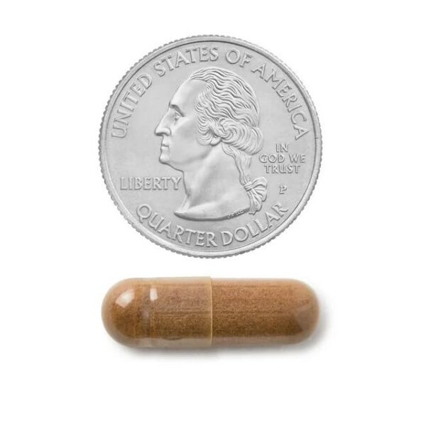 Version 1.0.0 Suplemento canela Spring Valley con cápsulas y estuche rojo corazón