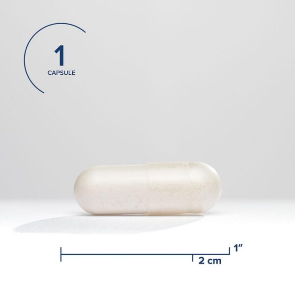 Version 1.0.0 Suplemento en cápsulas DAO con enzimas digestivas para histamina