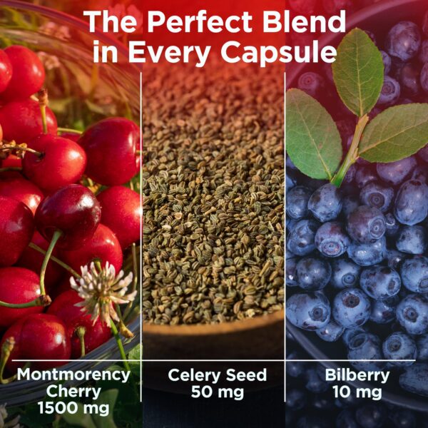 Version 1.0.0 suplemento cápsulas extracto cereza ácida truevantage nutrition