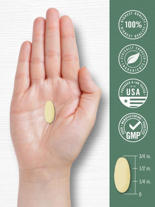 Suplemento Carlyle Ashwagandha KSM-66 sin gluten y sin OGM