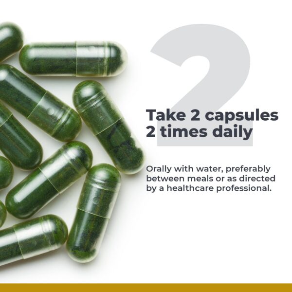 Suplemento chlorella premium Premier Research Labs 120 cápsulas