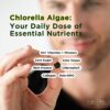 Version 1.0.0 suplemento chlorella superalimento para energía y detox