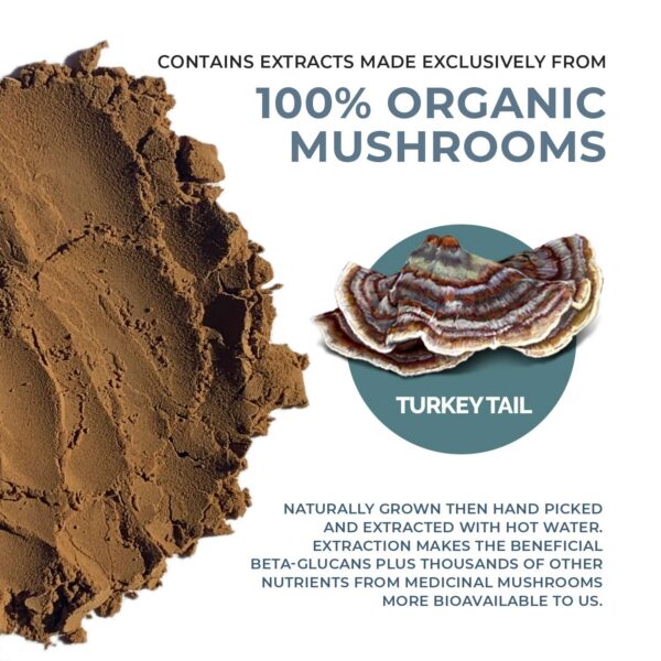 Suplemento Cola de Pavo Real Mushrooms en polvo