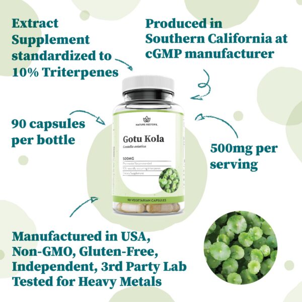 Version 1.0.0 Suplemento concentrado no GMO Gotu Kola 90 cápsulas