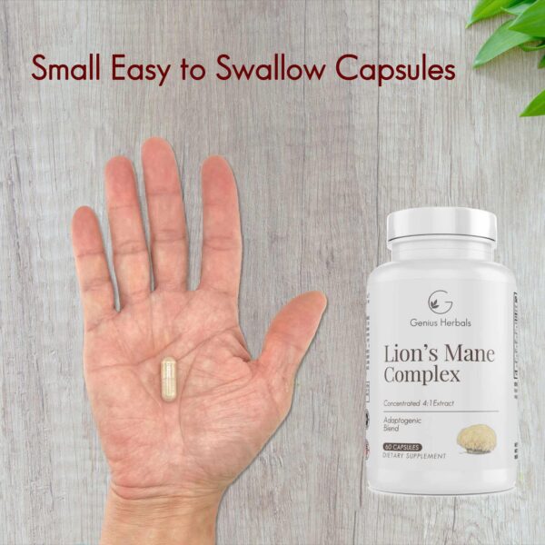 Suplemento concentrado de setas Lions Mane Genius Herbals