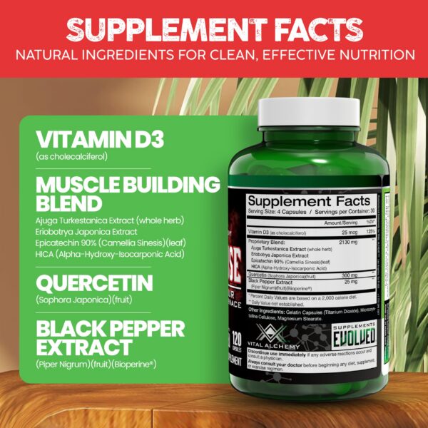 Version 1.0.0 Suplemento crecimiento muscular Vital Alchemy Anafuse 120 cápsulas