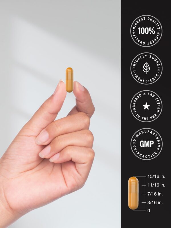 Suplemento cúrcuma Horbäach sin gluten y no OGM