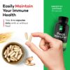 Suplemento natural Daiwa PeakImmune4 efecto reforzante inmunológico