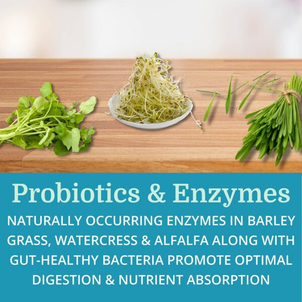 Suplemento detox alcalino Morter HealthSystem AlkaCleanse 180 unidades