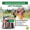 suplemento diario probiótico Osumex LB17 balance intestinal y salud digestiva