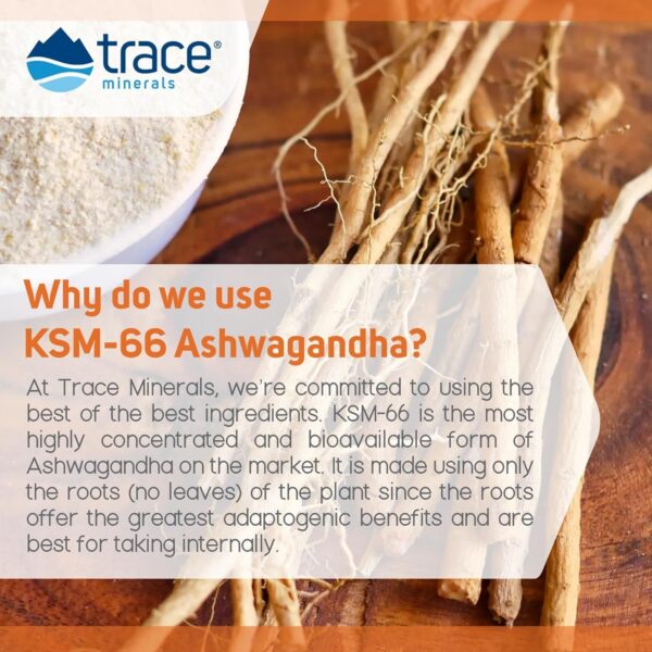 Suplemento diario Trace Minerals ashwagandha para bienestar general