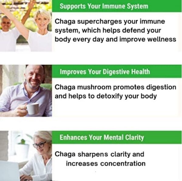 Suplemento dietético de Chaga para energía