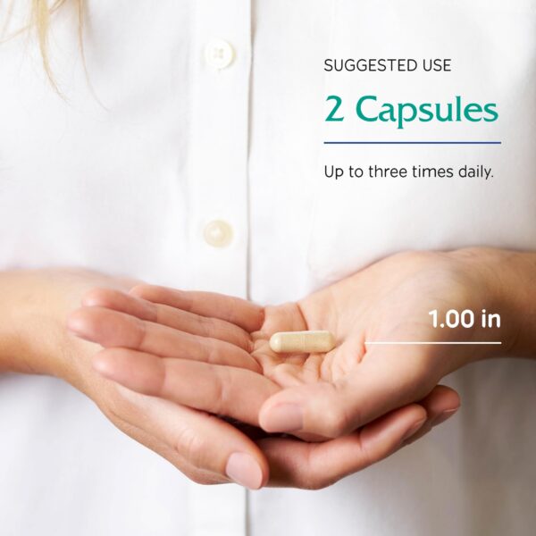 Suplemento dietético con té verde y ajo