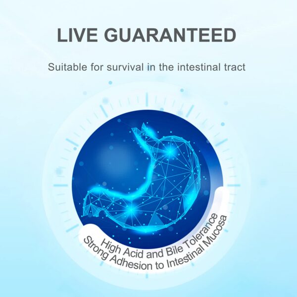 Suplemento digestivo y para sistema inmune Life-Space