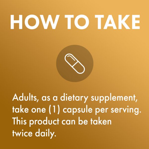 Version 1.0.0 Suplemento Dr. Mercola jengibre fermentado orgánico 60 dosis