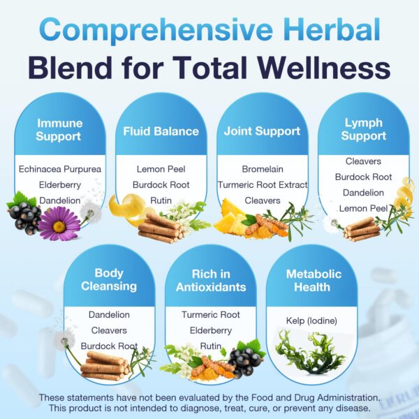 Version 1.0.0 Suplemento ELERULE caja frontal y cápsulas