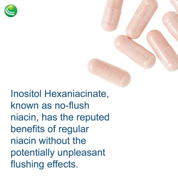 Suplemento energético con niacina y rojo arroz levadura