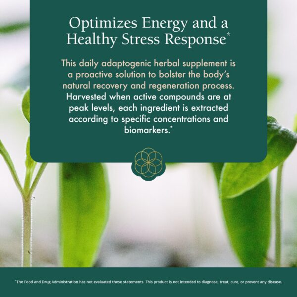 Suplemento energético Power Adapt Natura Health