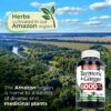 Suplemento FITO MEDIC'S para bienestar y absorción alta