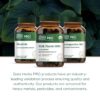Suplemento Gaia Herbs para células hepáticas Salud