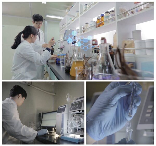 Version 1.0.0 Suplemento de ginseng rojo BTGIN botella vidrio 90g