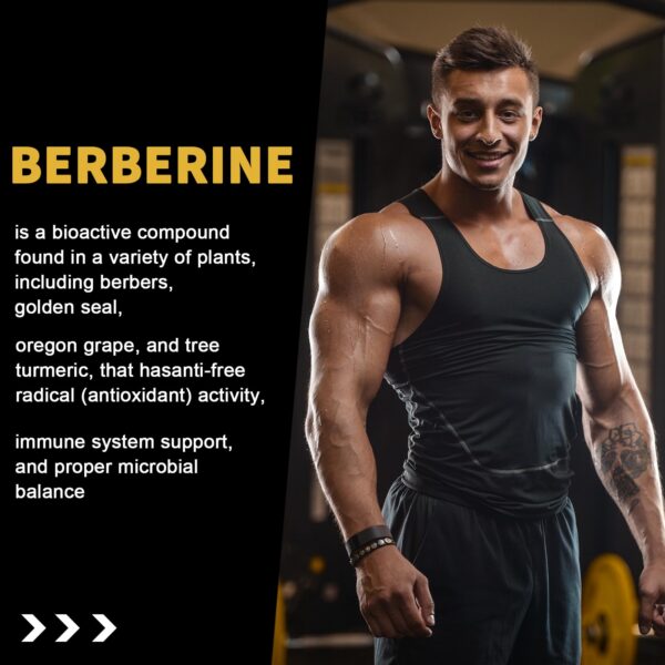 Suplemento gomitas berberina canela sin azúcar pack 2