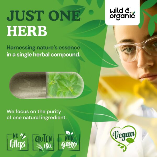 Suplemento gymnema sylvestre natural para bienestar general