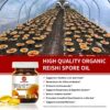 Suplemento hepático y de energía con aceite esporas reishi