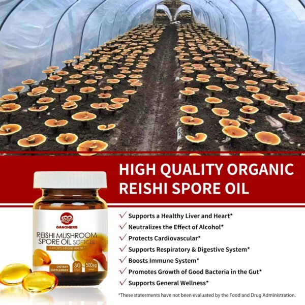 Suplemento hepático y de energía con aceite esporas reishi