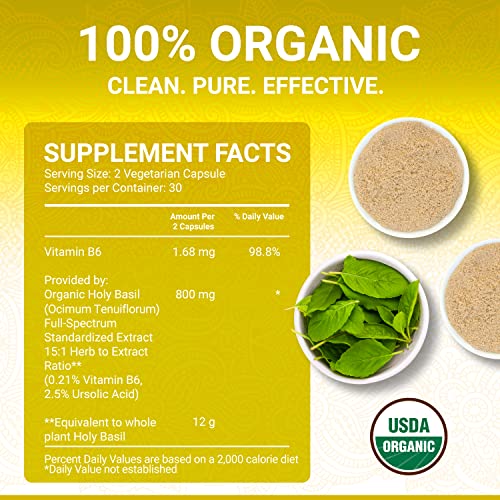 Suplemento herbal con ácido ursólico y tulsi orgánico