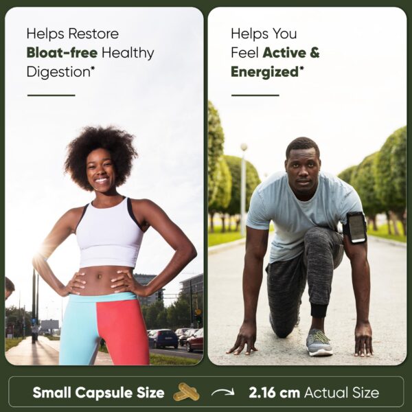 Suplemento herbal con antioxidantes para hígado sano