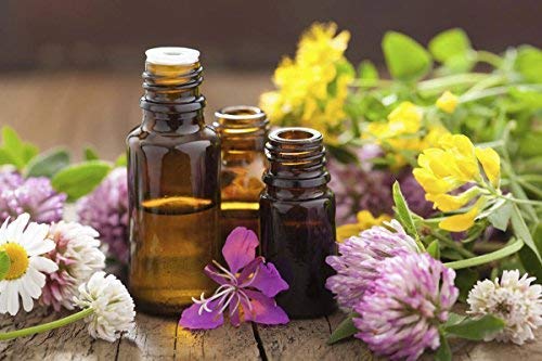 Version 1.0.0 Suplemento herbal Cedar Bear vegano y orgánico para flora intestinal