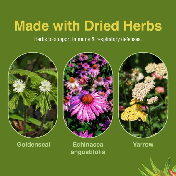 Suplemento herbal equinacea goldenseal milenrama Herbs Etc Peak Defense