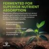 Suplemento herbal PlantFusion fermentado con antioxidantes naturales