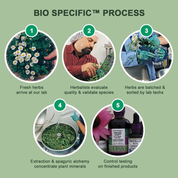 Version 1.0.0 Campaña de producto tónico prostático David Winston