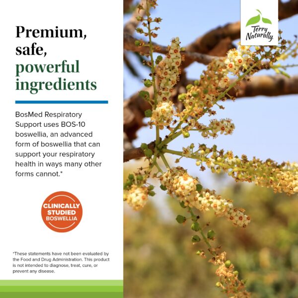 Version 1.0.0 Suplemento natural Terry Naturally BosMed apoyo respiratorio 60 softgels