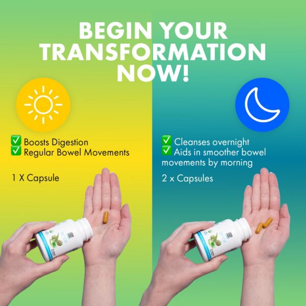 Version 1.0.0 Suplemento herbales para limpieza digestiva y detox Sí Puedes