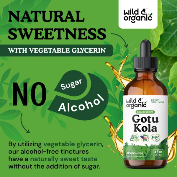 Suplemento de hierbas vegano con extracto de Gotu Kola