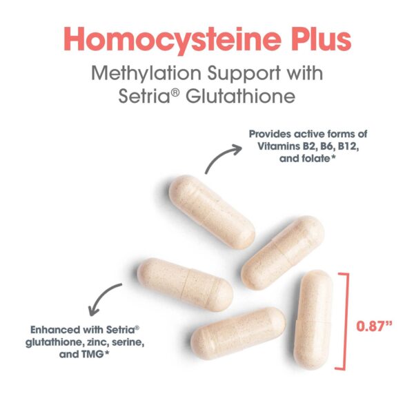 Suplemento Homocysteine Plus desarrollado por médicos