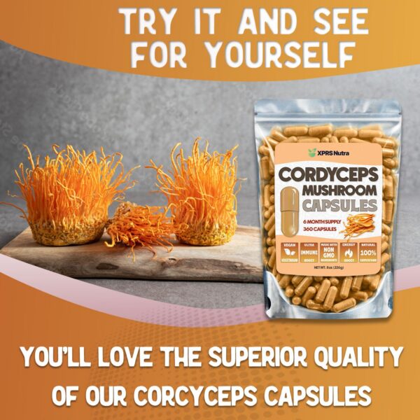 Suplemento de hongo cordyceps premium