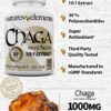suplemento de hongos chaga antioxidante Natures Elements