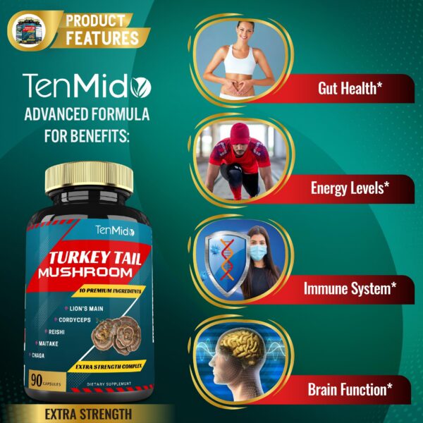 Suplemento con hongos funcionales para energía