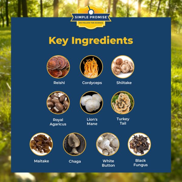 Suplemento hongos con maitake y cordyceps para colesterol