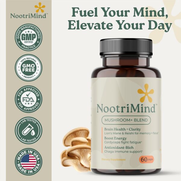 Version 1.0.0 Suplemento de hongos en mesa con ingredientes naturales