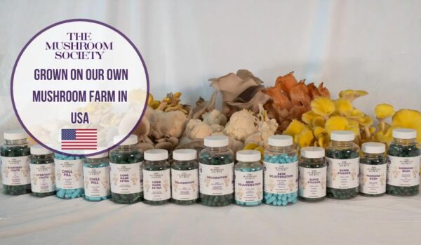 Etiqueta frontal suplemento Melena de León The Mushroom Society