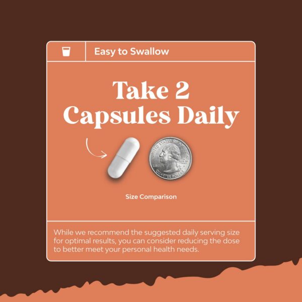 Presentación paquete suplemento para memoria y concentración