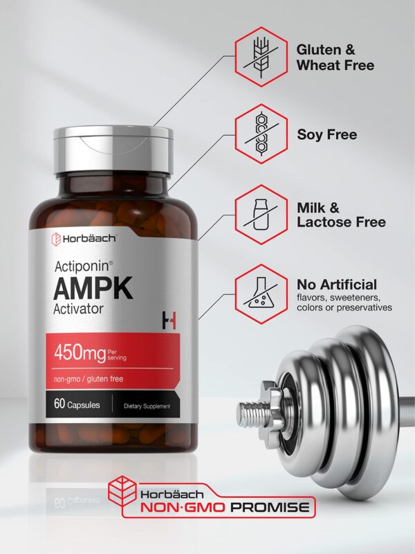 Suplemento Horbäach sin OGM AMPK activador metabólico