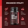 Suplemento Horny Goat Weed para hombres y mujeres en viaje