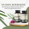 Suplemento Hurbix Berberina certificado GMP calidad premium